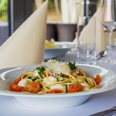 Domasa Zelena Laguna Hotel Domasa Dobra